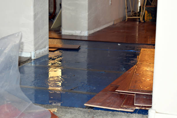 Professional Burst Pipe Cleanup technician working in Matinicus, ME